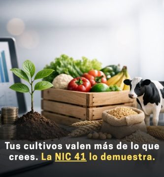 NIC 41
