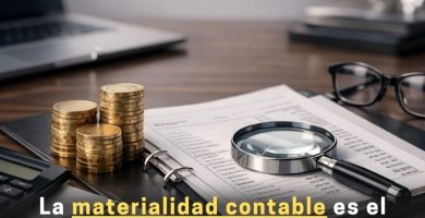 materialidad contable