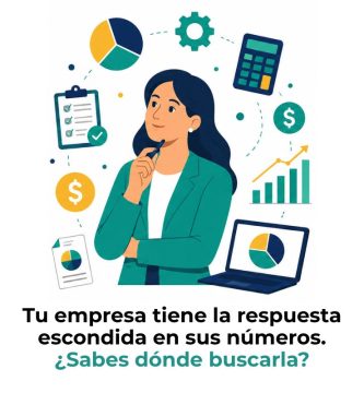 cómo usar la información contable
