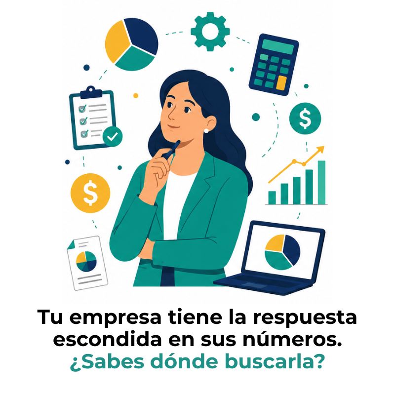 cómo usar la información contable