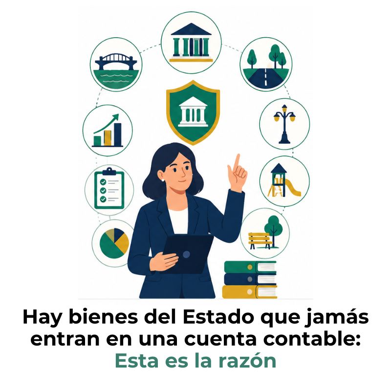 contabilización de los bienes de dominio público