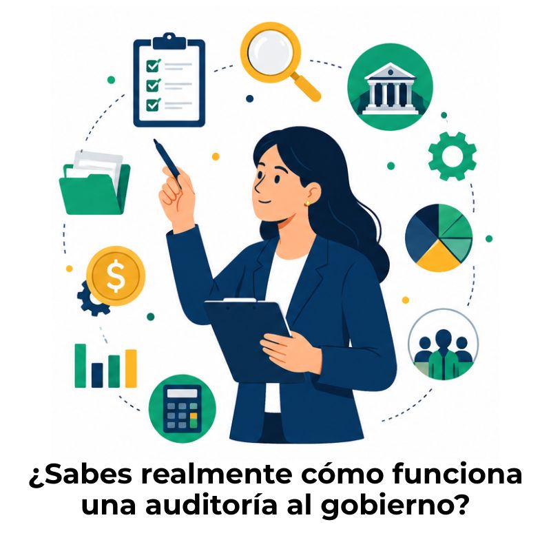 como se realiza una auditoria gubernamental