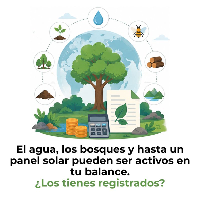 que son los activos ambientales