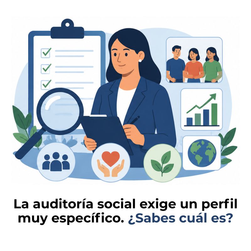 qué perfil profesional necesita la auditoría social