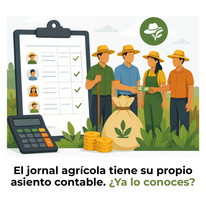contabilización de jornales agrícolas
