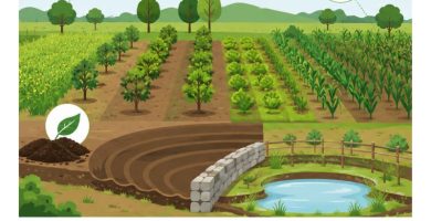 mejoras en terrenos agrícolas