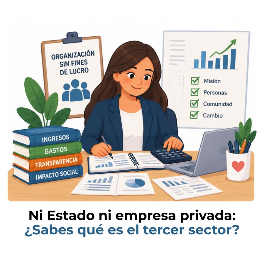 definición del tercer sector