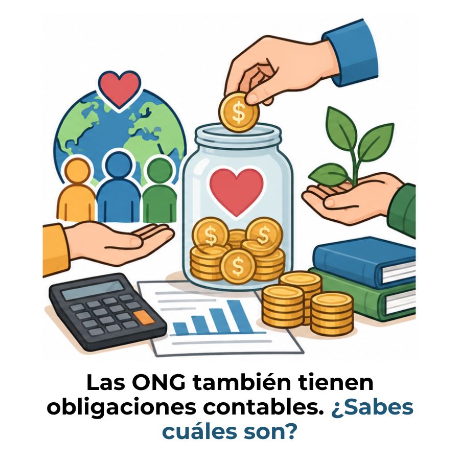 qué es la contabilidad de una ONG